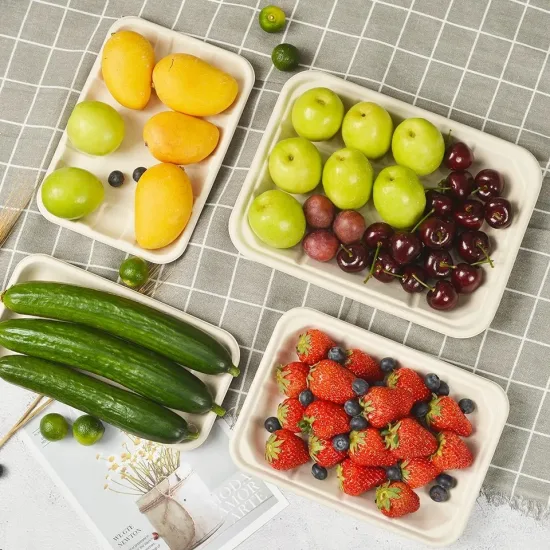 Vaisselle jetable en bagasse de canne à sucre, plateau de fruits et légumes, assiette à 5 compartiments